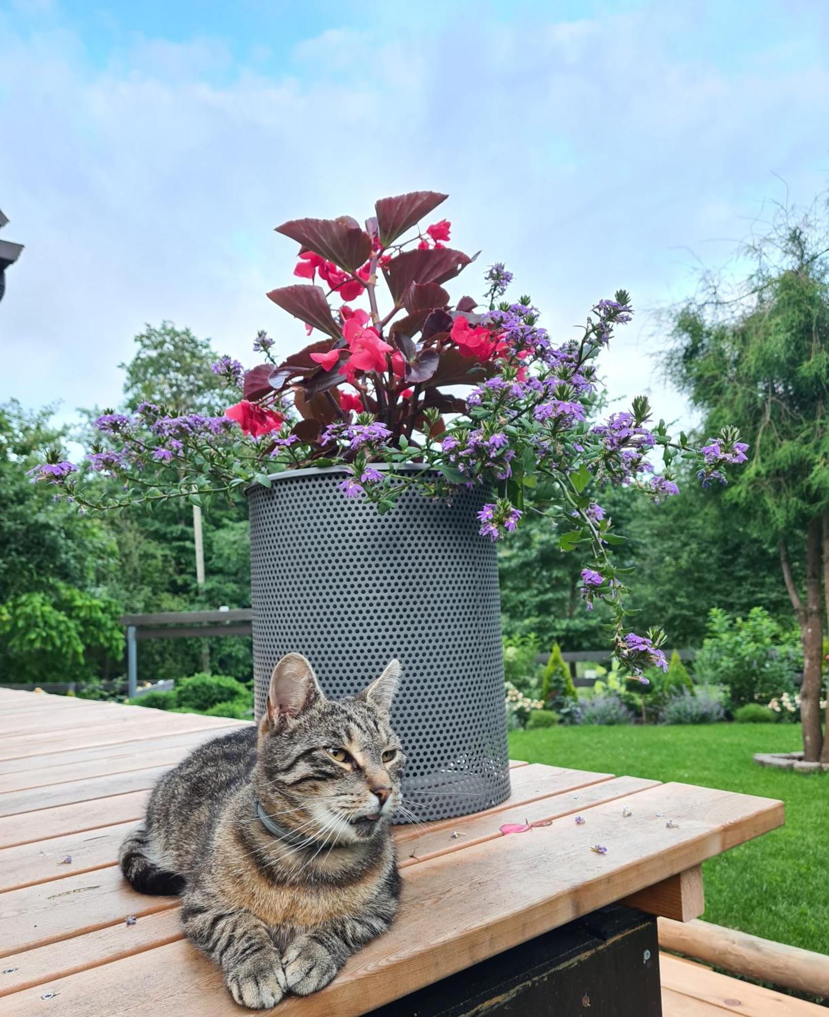 Summerhome Скулте Экстерьер фото