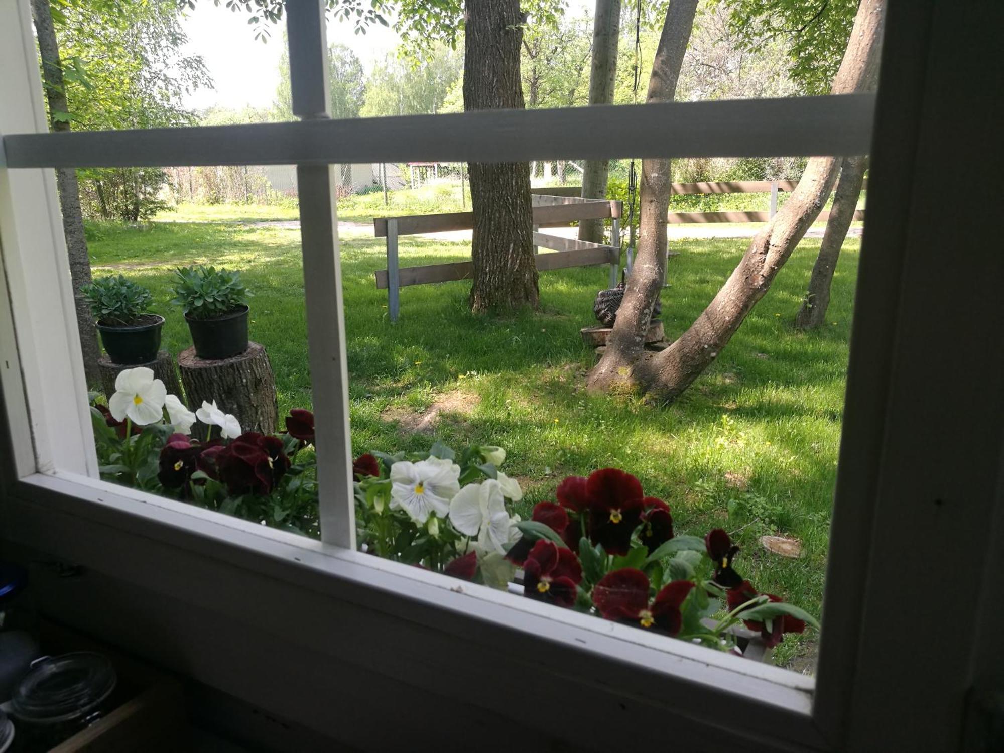 Summerhome Скулте Экстерьер фото